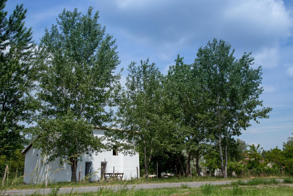 Casa Bella & Nova Otel Palić Dış mekan fotoğraf